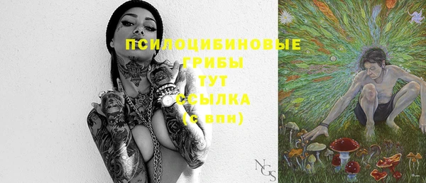 прущие крисы Белокуриха