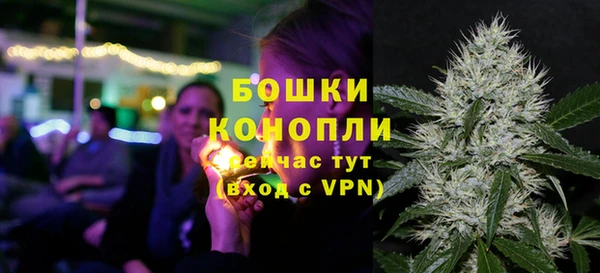 прущие крисы Белокуриха