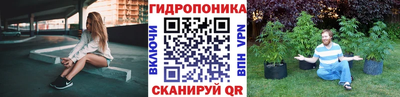 купить наркотики цена  Воркута  Канабис SATIVA & INDICA 